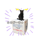 ナルガ＆ベリオ（個別スタンプ：30）
