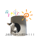 ナルガ＆ベリオ（個別スタンプ：32）