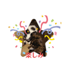 毎日ワンコ③（個別スタンプ：3）