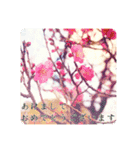 レンズの向こう側。（個別スタンプ：7）