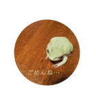 かえるのかえちゃん（個別スタンプ：7）