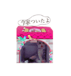 猫好きの日常会話（シフォン①）（個別スタンプ：24）