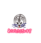 まんまるはむちゃん_ver.202007（個別スタンプ：4）