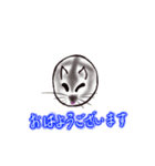 まんまるはむちゃん_ver.202007（個別スタンプ：5）