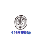 まんまるはむちゃん_ver.202007（個別スタンプ：10）