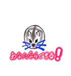まんまるはむちゃん_ver.202007（個別スタンプ：16）