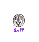 まんまるはむちゃん_ver.202007（個別スタンプ：20）