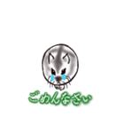 まんまるはむちゃん_ver.202007（個別スタンプ：23）