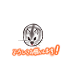 まんまるはむちゃん_ver.202007（個別スタンプ：24）