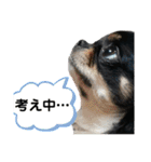 らいむの日常4（個別スタンプ：5）