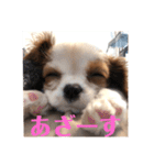 Lilyの毎日（個別スタンプ：10）