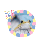 ぴょんとかーくん①（個別スタンプ：9）