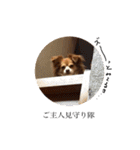 ハートオブアクちゃん（個別スタンプ：3）