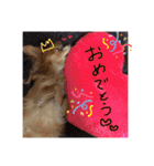 ハートオブアクちゃん（個別スタンプ：5）