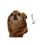 ハートオブアクちゃん（個別スタンプ：7）