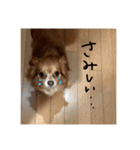 ハートオブアクちゃん（個別スタンプ：9）