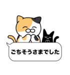 三毛猫✨敬語・丁寧語・デカ文字✨大和猫（個別スタンプ：13）