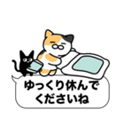 三毛猫✨敬語・丁寧語・デカ文字✨大和猫（個別スタンプ：40）