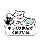 長毛白猫✨敬語・丁寧語・デカ文字✨大和猫（個別スタンプ：40）