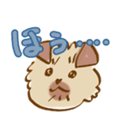 ポポロたん（個別スタンプ：1）