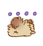 ポポロたん（個別スタンプ：2）