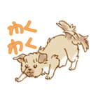 ポポロたん（個別スタンプ：5）