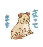 ポポロたん（個別スタンプ：6）