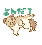 ポポロたん（個別スタンプ：7）