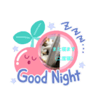 ぴーぷー語録（個別スタンプ：5）