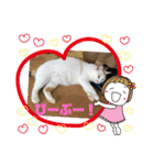 ぴーぷー語録（個別スタンプ：7）