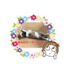 ぴーぷー語録（個別スタンプ：9）