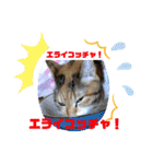 ぴーぷー語録（個別スタンプ：10）