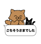 茶色長毛猫✨敬語・丁寧語・デカ文字✨大和猫（個別スタンプ：13）