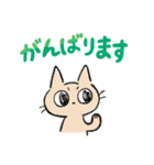 ねこのちゃのまる (丁寧・敬語)（個別スタンプ：8）