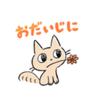 ねこのちゃのまる (丁寧・敬語)（個別スタンプ：11）