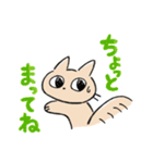 ねこのちゃのまる (丁寧・敬語)（個別スタンプ：22）