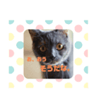あずあず すたんぷ（個別スタンプ：8）