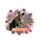 小梅のほのぼの日常（個別スタンプ：6）