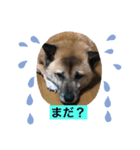 小梅のほのぼの日常（個別スタンプ：8）