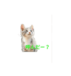 色んな犬ワンワン（個別スタンプ：1）