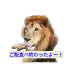 色んな犬ワンワン（個別スタンプ：2）
