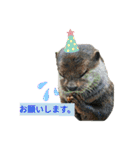色んな犬ワンワン（個別スタンプ：10）