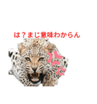 色んな犬ワンワン（個別スタンプ：11）