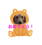 宿命のモンクシール（個別スタンプ：14）