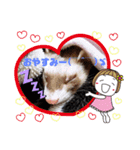 フェレットスタンプ2弾（個別スタンプ：3）