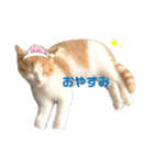 おてんば猫のころね（個別スタンプ：2）