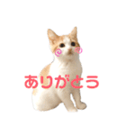 おてんば猫のころね（個別スタンプ：5）