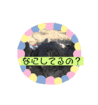 くまごろうスタンプ03（個別スタンプ：13）