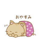 毎日使える ねこスタンプ アビシニアン編（個別スタンプ：2）