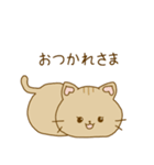 毎日使える ねこスタンプ アビシニアン編（個別スタンプ：8）